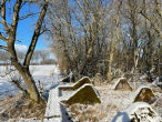 Der Westwall-Weg am Gericht