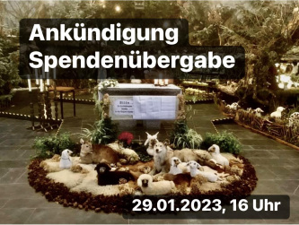 Spendenübergabe in der Krippe