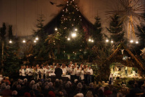 Der Eifelchor in der Krippe